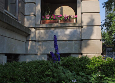 533 Diversey Parkway Garden 533 Diversey Parkway Garden