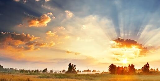 Bright sunny rays through clouds over grassy field and trees.